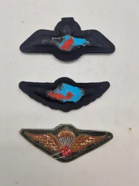 Lot originale faldskærmsvinger  Canada