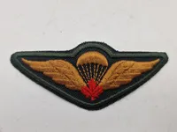 Lot originale faldskærmsvinger  Canada