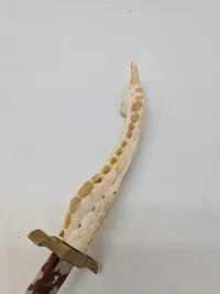 Jagtkniv lavet af krokodille ben og med skede af skin