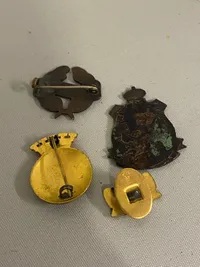 Lot diverse pins mm