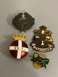 Lot diverse pins mm
