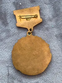 USSR Erindringsmærke "254 IAP. 1941-1945"
