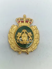 Lot diverse militære mærker mm.