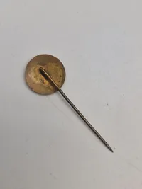 Original Dansk DNSAP medlems pin