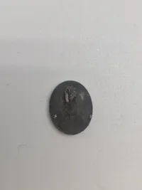 Original miniature Algemeine sturmabzeichen