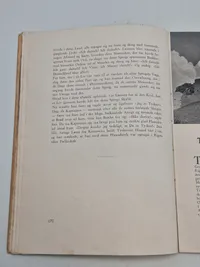 Originalt eks. af germanske budstikke