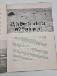 Originalt eks. af germanske budstikke