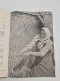 Originalt eks. af germanske budstikke