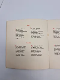 Original dansk/nazistisk propaganda - Lov-kvad over stalingrads helte