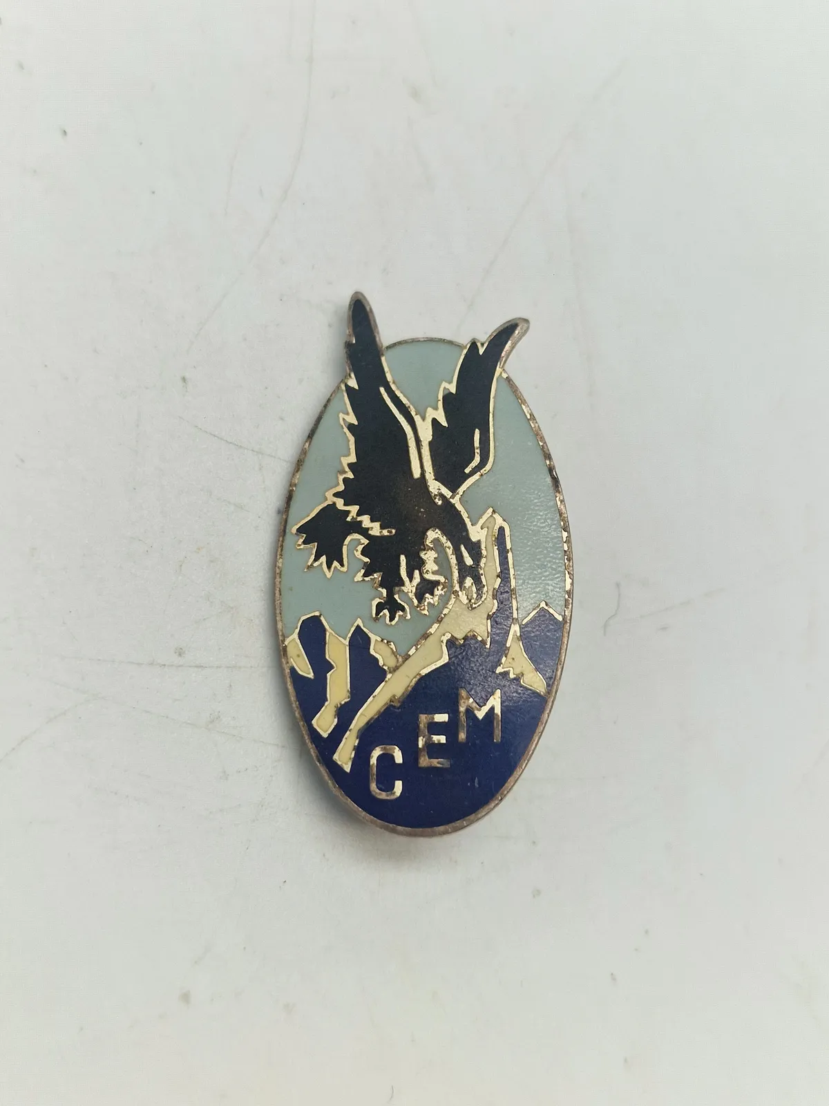 Original French Foreign Legion General Staff CEM Uniform Insignia Badge Pin