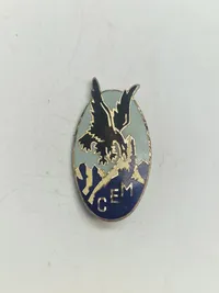 Original French Foreign Legion General Staff CEM Uniform Insignia Badge Pin