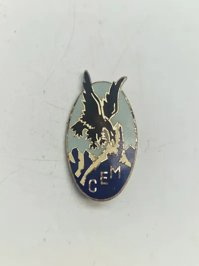 Original French Foreign Legion General Staff CEM Uniform Insignia Badge Pin