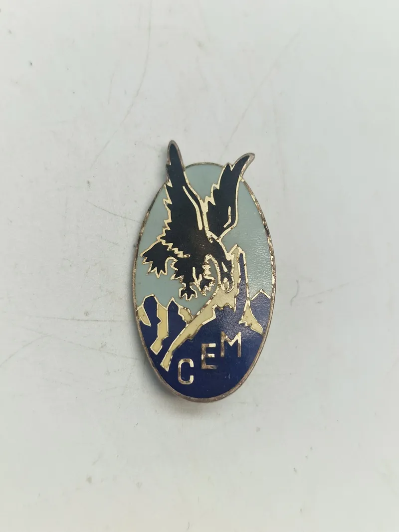 Original French Foreign Legion General Staff CEM Uniform Insignia Badge Pin