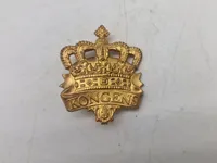 Lot danske regiments mærker mm.