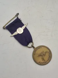To stk originale Airborne medaljer