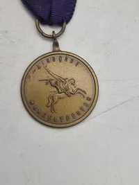 To stk originale Airborne medaljer