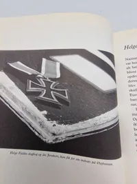I skyggen af Jernkorset og Berlin 1945