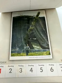 Original komplet Dansk sproget Wehrmacht postkort kallender fra 1944, sjældent set med alle ugerne
