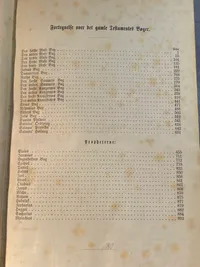 Original dansk bibel fra 1878