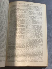 Original dansk bibel fra 1878