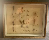 Samling insekter i ramme - 1950’erne