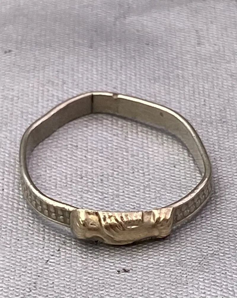 Venskabs ring af sterlingsølv (hænderne er af guld)