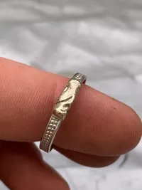 Venskabs ring af sterlingsølv (hænderne er af guld)