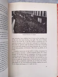 Den danske soldat i Sønderjylland
