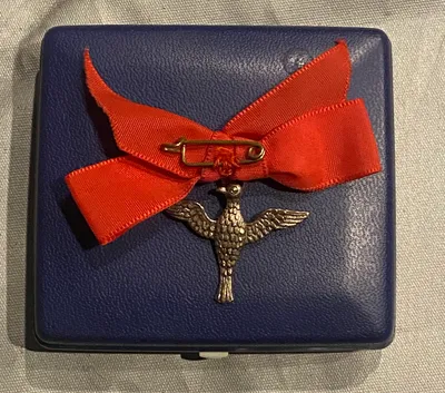 Original fulgeskydnings pin med æske