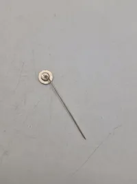 Original Waffen-SS medlems pin