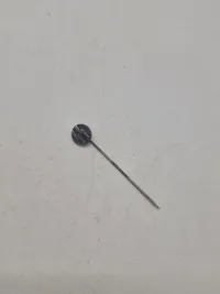 original Waffen-SS pin
