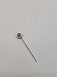 original Waffen-SS pin