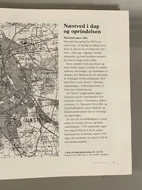 Næstved i middelalderen