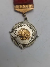RUSSIA SOVIET CCCP USSR MEDAL KOMSOMOL SPECIAL MERITS CULTIVATION