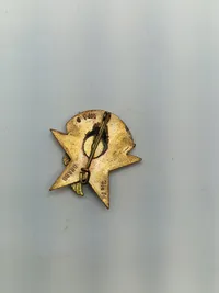 Originalt Fransk 12 Battalion paratroopers badge