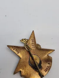 Originalt Fransk 12 Battalion paratroopers badge
