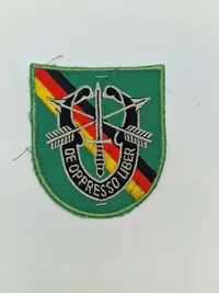 Originalt U. S. Army 10th Special Forces Group Europe - 10 S F G Beret Flash over Green Beret Felt Sticker & 508 Parachute infantry regiment