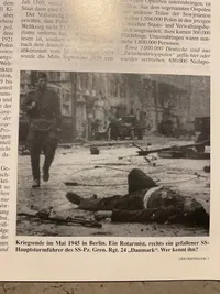Originalt Waffen-SS veteranblad