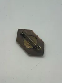 Original  3 rd Reich VDA-Volksbund Für Deutschtum im Ausland (Peoples Association for Germans Abroad) Members Pin
