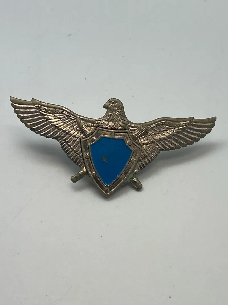 Original ukrainsk Airforce badge
