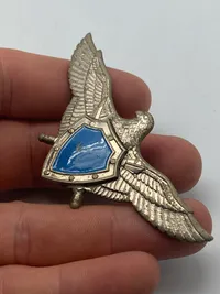 Original ukrainsk Airforce badge