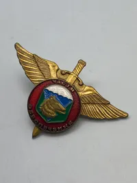 Sjælden original Russian 36th AIRBORNE BRIGADE Badge Paratrooper VDV Spetsnaz Unit Wings