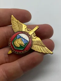 Sjælden original Russian 36th AIRBORNE BRIGADE Badge Paratrooper VDV Spetsnaz Unit Wings