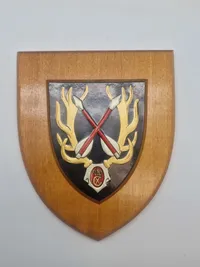 Dansk militært vægskjold
