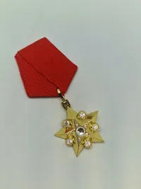Soviet Union Marshal Gold Five Star CCCP Medal -repro