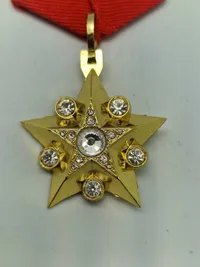 Soviet Union Marshal Gold Five Star CCCP Medal -repro