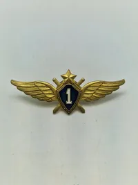 Samling faldskærmsvinger