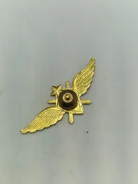 Samling faldskærmsvinger