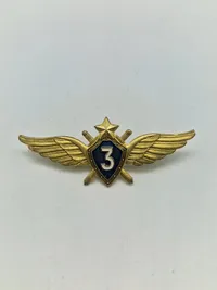 Samling faldskærmsvinger