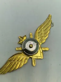 Samling faldskærmsvinger